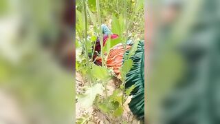 Village girl ki khet mein zabardast chudai