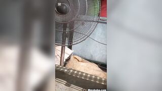 Pakistani Muslim bhai bahan ki mast chudai