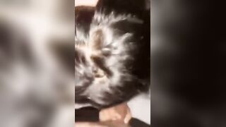 College girl blowjob de rahi hai maje mein